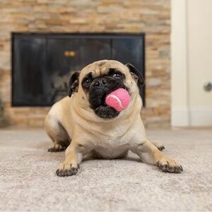 Hyper Pet - MINI Tennis Ball for Female Dogs